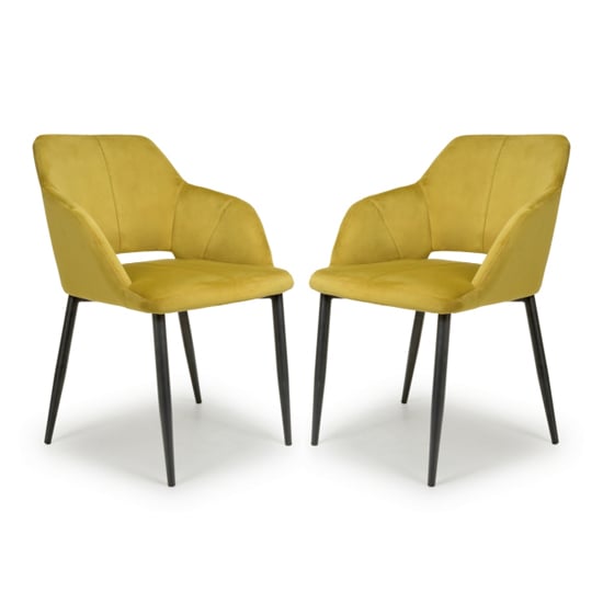 Narva Lime Gold Velvet Dining Chairs With Black Legs In Pair